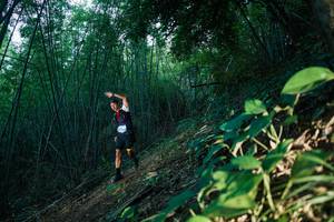 BIB: 
                            <button type="button" onclick="openModal(28123760)" class="btn btn-primary btn-sm float-right btn-popup" data-toggle="modal" data-target=".modal-high-quality">
                        <i class="fas fa-shopping-cart"></i> Add to Cart
                    </button>
                                            <button type="button" onclick="isThisMe(28123760, true)" class="btn btn-success btn-sm float-right btn-popup btn-isme hidden" data-toggle="tooltip" data-placement="bottom" title="นี่คือรูปของคุณใช่ไหม คลิกที่นี่เพื่อเอาเข้าอัลบั้ม">
                        <i class="fas fa-plus"></i> Add to album
                    </button>
                    <button type="button" onclick="isThisMe(28123760, false)" class="btn btn-warning btn-sm float-right btn-popup btn-isnotme hidden">
                        <i class="fas fa-ban"></i> Remove from album
                    </button>